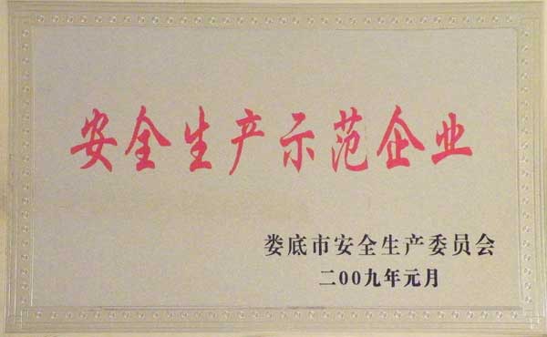 安全生产示范单位