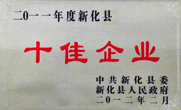 2011年度新化县十佳企业