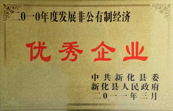 2010年度非公有制发展优秀企业
