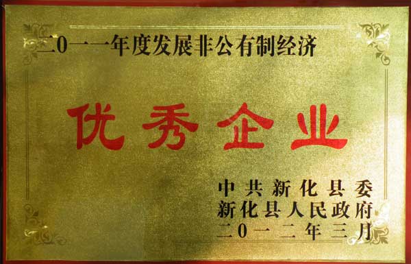 2011年度发展非公有制经济优秀企业