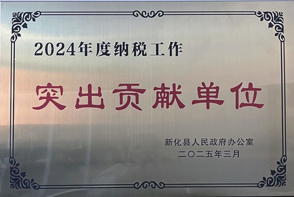 新化县2024年度纳税突出贡献单位